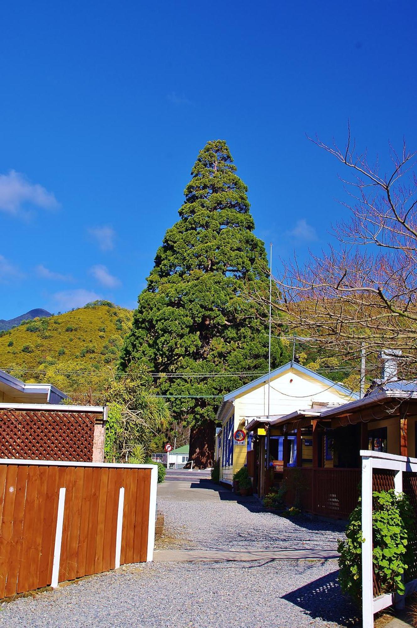 Sequoia Lodge Backpackers Picton Luaran gambar
