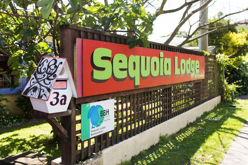 Sequoia Lodge Backpackers Picton Luaran gambar